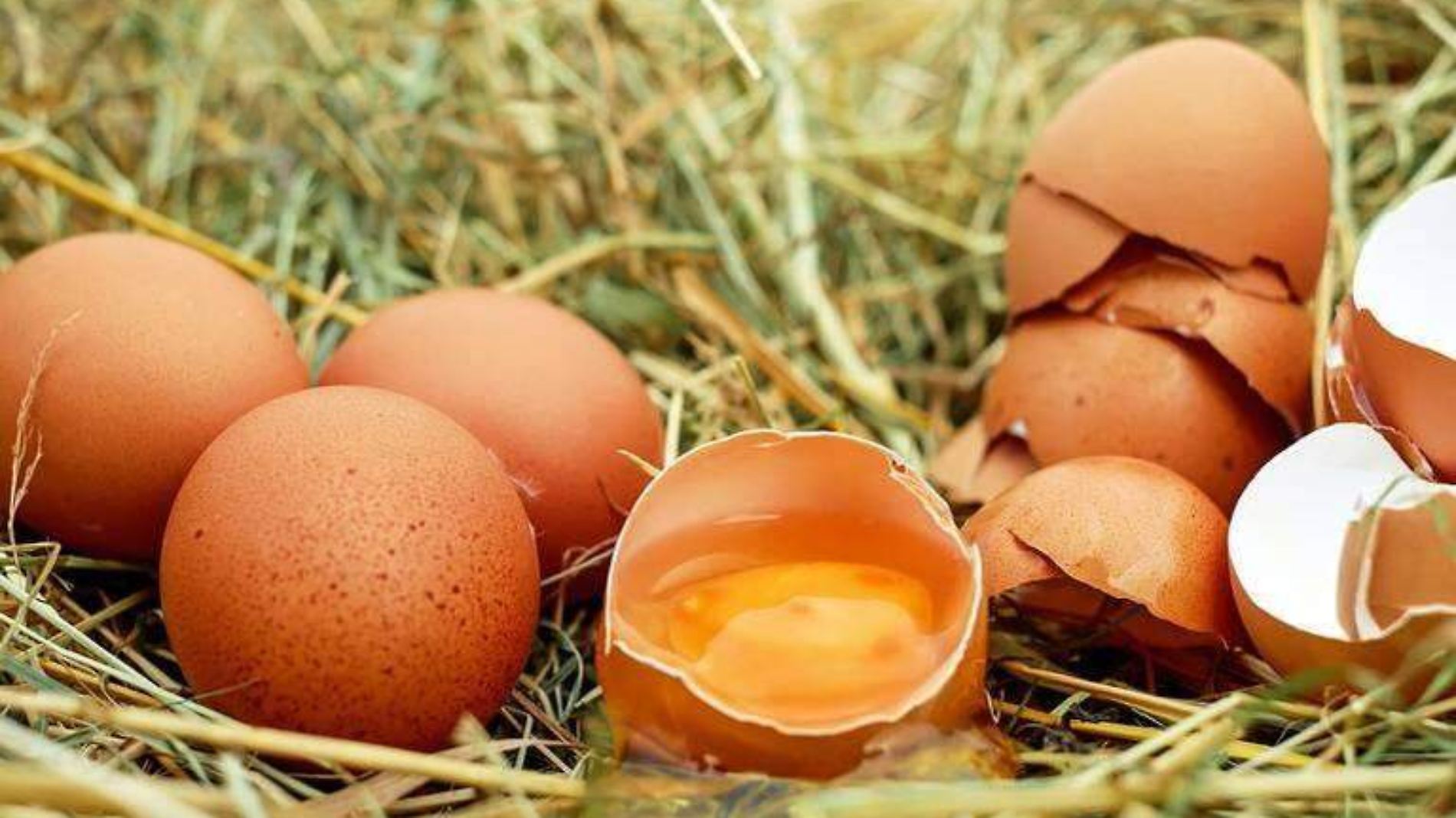 ¿Se pueden comer los huevos con restos de sangre? 